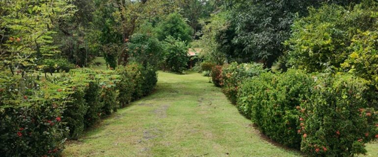 SE VENDE Quinta a 8 km de Orotina (171001003)