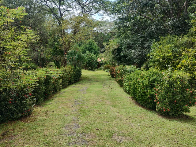 SE VENDE Quinta a 8 km de Orotina (171001003)